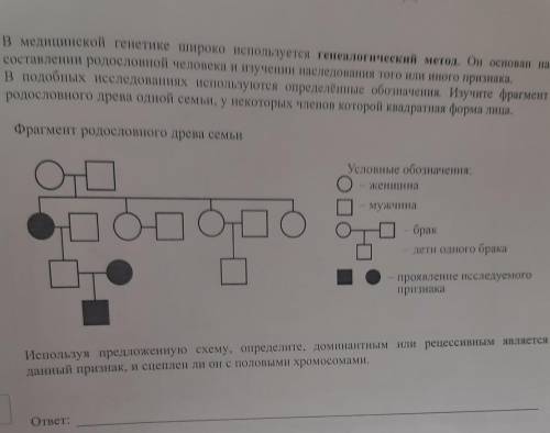 Впр по биологии 11 класс​