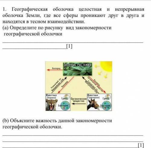 Определите по рисунку вид закономерности географической оболочки ​