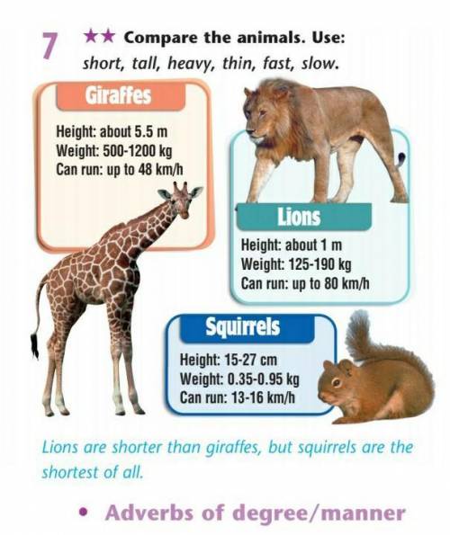 ★★ Compare the animals. Use: short, tall, heavy, thin, fast, slow.Lions are shorter than giraffes, b