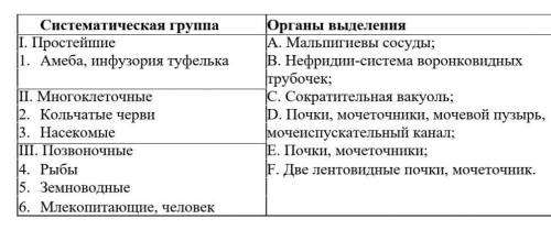 (а) Установите соответствие между названием органов выделения и систематической группой животных ​