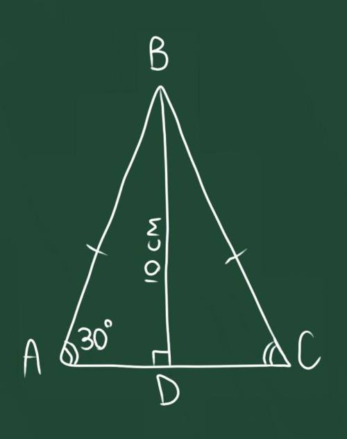 У рівнобедреному трикутнику ABC AB=BC BD медіана кут BAD=30 BD=10см знайти BC