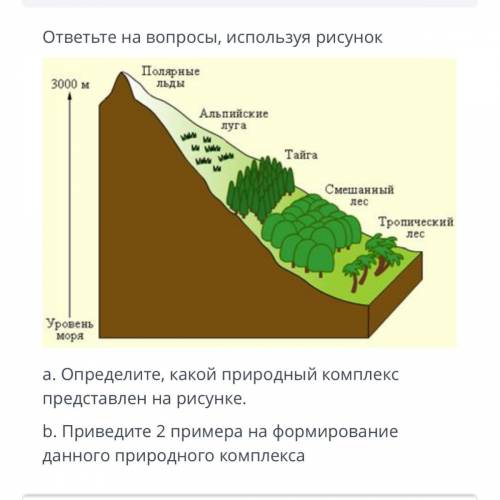 ответьте на вопросы, используя рисунок Полярные льды 3000 м Альпийские луга Тайга Смешанный лес Троп