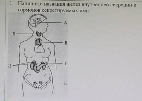 1. Напишите названия желез внутренней секреции и гормонов секретируемых ими. , зарание кто ​