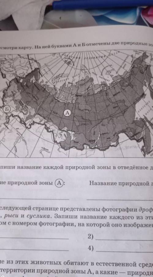 Рассмотри карту на ней буквами а и б отмечены две природные зоны Запиши название каждой природной зо