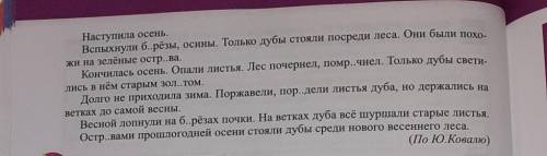 спишите вставляя пропуш буквы подчеркните грамматическую основу предложений укажите в скобках распра