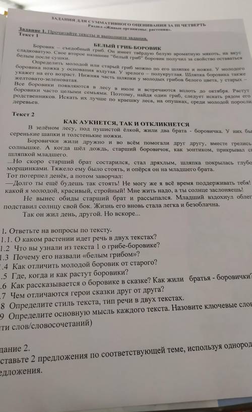 1.6 Как рассказывается о боровике в сказке? Как жили братья - боровички?​