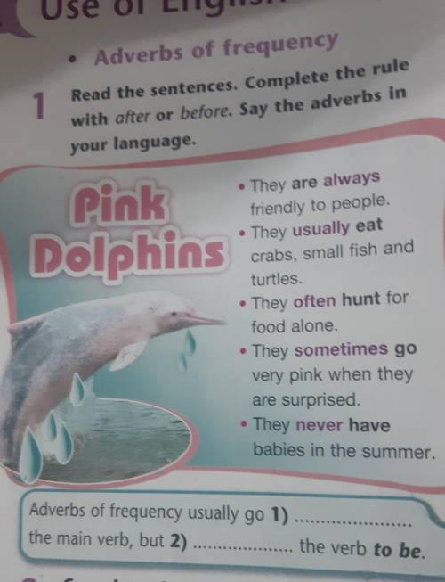 1 Read the sentences. Complete the rulewith ofter or before. Say the adverbs inyour language.1 ge2 w