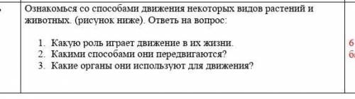 1. Какую роль играет движение в их жизни. 2. Какими они передвигаются?3. Какие органы они используют