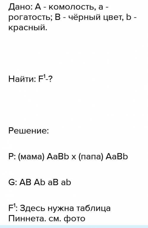 У крупного рогатого скота ген комолости (отсутствие рогов) доминирует над геном рогатости, а ген чёр