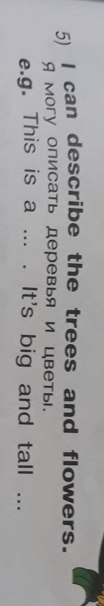 5) I can describe the trees and flowers. я могу описать деревья и цветы.It's big and talle.g. This i