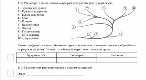 Здравствуйте решить , я в биологии плохо разбираюсь , 7 класс