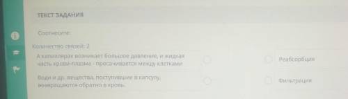 ЗАДАНИЕ No 2 ТЕКСТ ЗАДАНИЯСоотнесите:Количество связей: 2РеабсорбцияА капиллярах возникает большое д