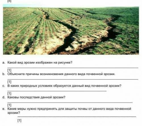 Рассмотрит рисунок и ответьте на вопрочы​