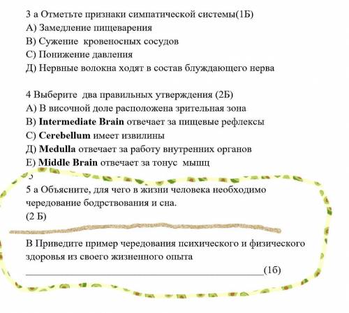 Объясните для чего в жизни человека необходимо чередование сна и бодрствования. Приведите пример чер