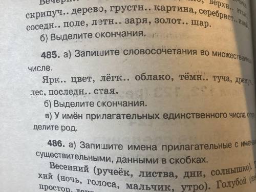 запишите словосочетания во множественном числе выдели окончания у имён прилагательных единственного