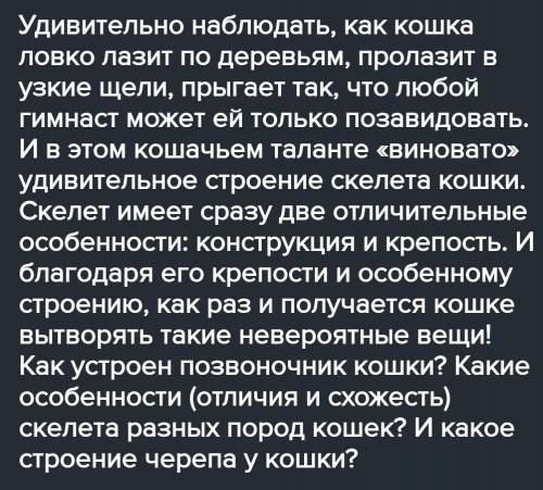 Посмотри на картинки и обсуди в группе: что является рычагами у кошек, рыб, членистоногих и моллюско