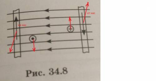 На рисунке 34.8 изображены четыре проводника с током, находящиеся в магнитном поле. Как движется каж