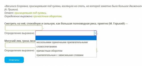 Выпиши из предложений согласованные обособленные определения (приложения). Выписывай в той же форме,