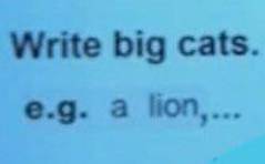 Write big cats e.g. a lion,... ​