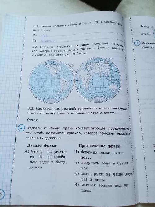 3.3. Какое из этих растений встречаются в зоне широколиственных лесов? Запиши название в строке: