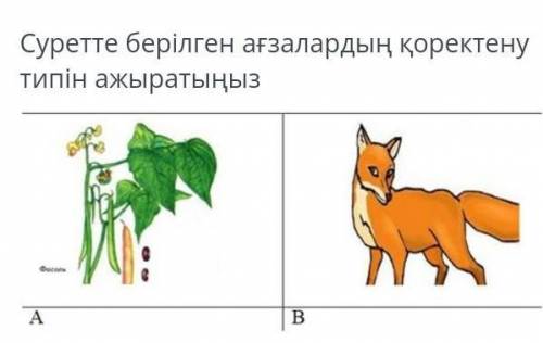 Различай тип питания организмов, показанных на рисунке. АВ​