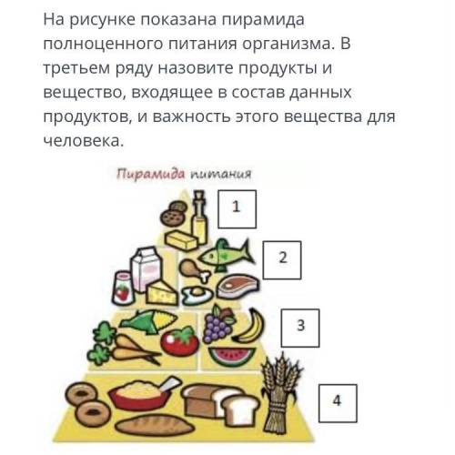 На рисунке показана пирамида полноценного питания организма. В третьем ряду назовите продукты и веще