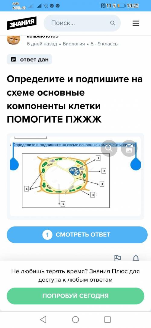 Определите и подпишите на схеме основные компоненты клетки ​