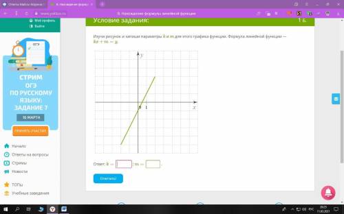 Изучи рисунок и запиши параметры k и m для этого графика функции. Формула линейной функции — kx+m=y.