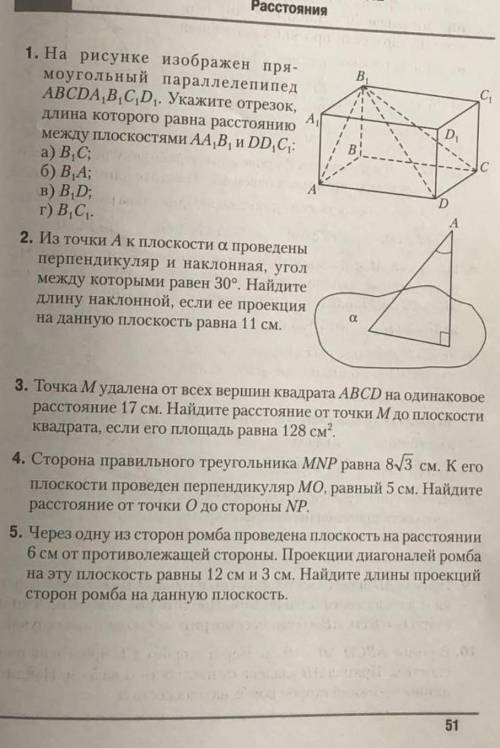 очень нужна . Флудеры лесом​