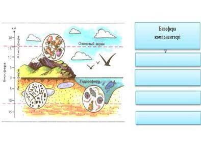 Биосфераның компоненттерін анықтап, жоғарғы, төменгі шекараларын анықтап, сәйкес келмейтін сфераны б