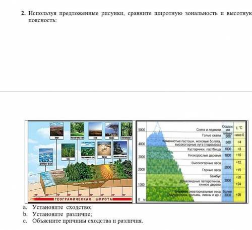 Кто сделаю лучшим ответов​