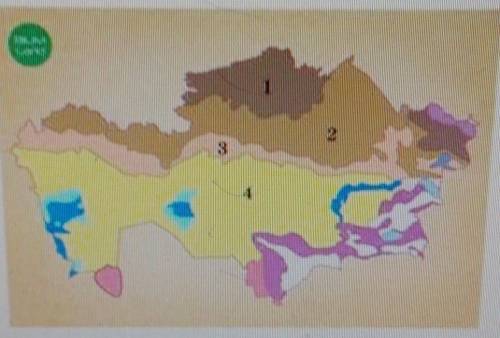 ТЕКСТ ЗАДАНИЯ Определите типы почв обозначенные на карте Казахстана цифрами 1, 2,4​