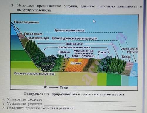 А. Установите сходство b. Установите различнитес. Объясните причины сходства и различияКак-то так ду