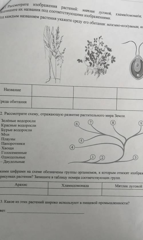 КОД нах. Вариант 1Рассмотрите изображения растений: мятлик луговой, хламидомонада, арахис.Подпиште и