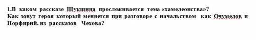 В каком рассказе Шукшина прослеживается тема «хамелеонства»? Как зовут героя который меняется при ра