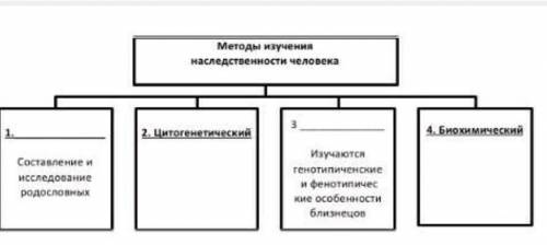 Дополните схему, вписав в нее название метода или его характеристику.​