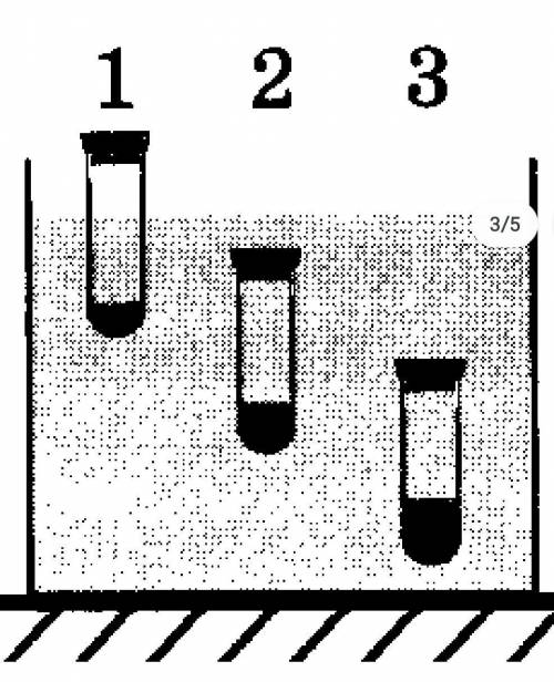В сосуд с водой опущены три одинаковые пробирки с жидкостью. Первая пробирка движется вверх, вторая
