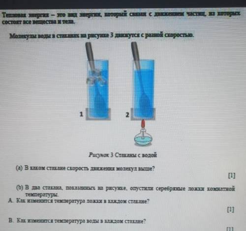 В каком стакане скорость движения молекул высоту даю кто быстро ответит за 1 час ​