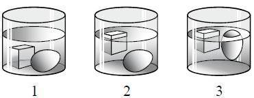 Учитель последовательно опустил в три разные жидкости сплошной кубик изо льда и сырое яйцо .Выберите