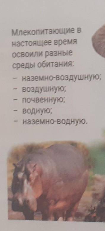 1. Как можно озаглавить картинку? 2. Как одним словом можно заменить выражение «среда обитания»?3. П