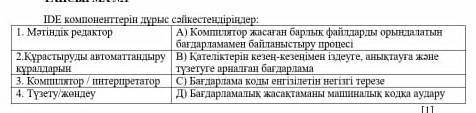 IDE. компоненттеринин дурыс сайкестендириндер памагите ТЖБ ​