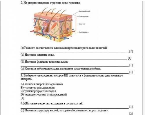 Хелп ми кто знает биологию​ сор