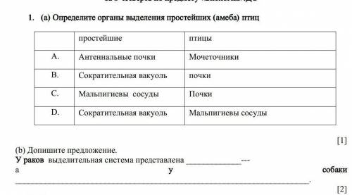 (а) Определите органы выделения простейших (амеба) птиц   простейшиептицыA. Антеннальные почки Мочет