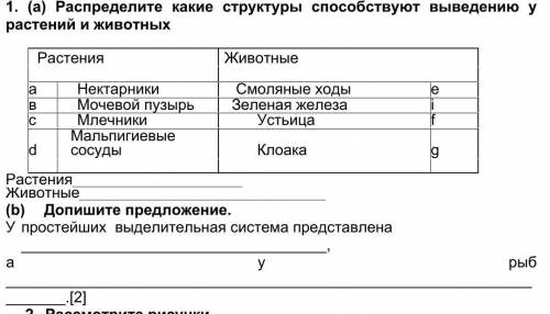 ) Распределите какие структуры выведению у растений и животных Растения Животныеа Нектарники Смоляны