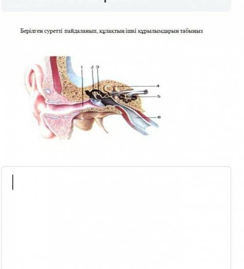 Аллашалслалаштстчосос​