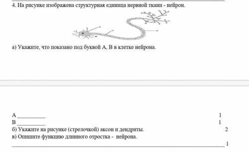 4. На рисунке изображена структурная единица нервной ткани - нейрон. а) Укажите, что показано под бу