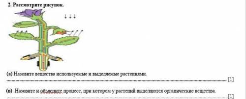 Рассмотрите рисунок. (а) Назовите вещества используемые и выделяемые растениями. (в) Назовите и обья