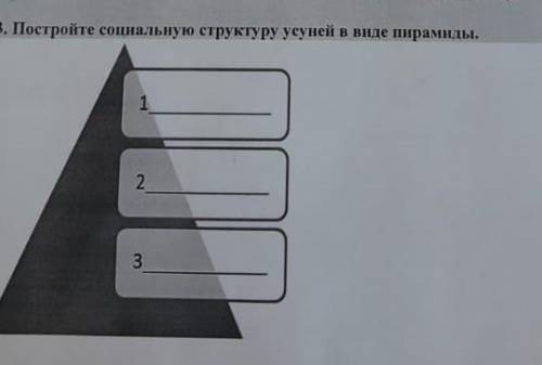 Постройте социальную структуру усуней в виде пирамиды​