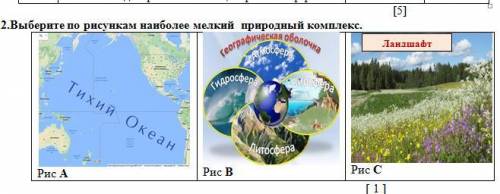 Выберите по рисункам наиболее мелкий природный комплекс. Рис А Рис В Рис С