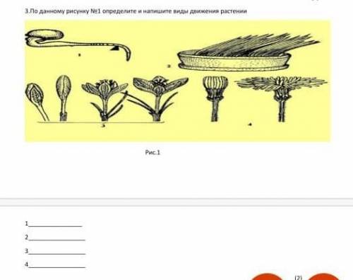По данному рисунку №1 определите и напишите виды движения растении​